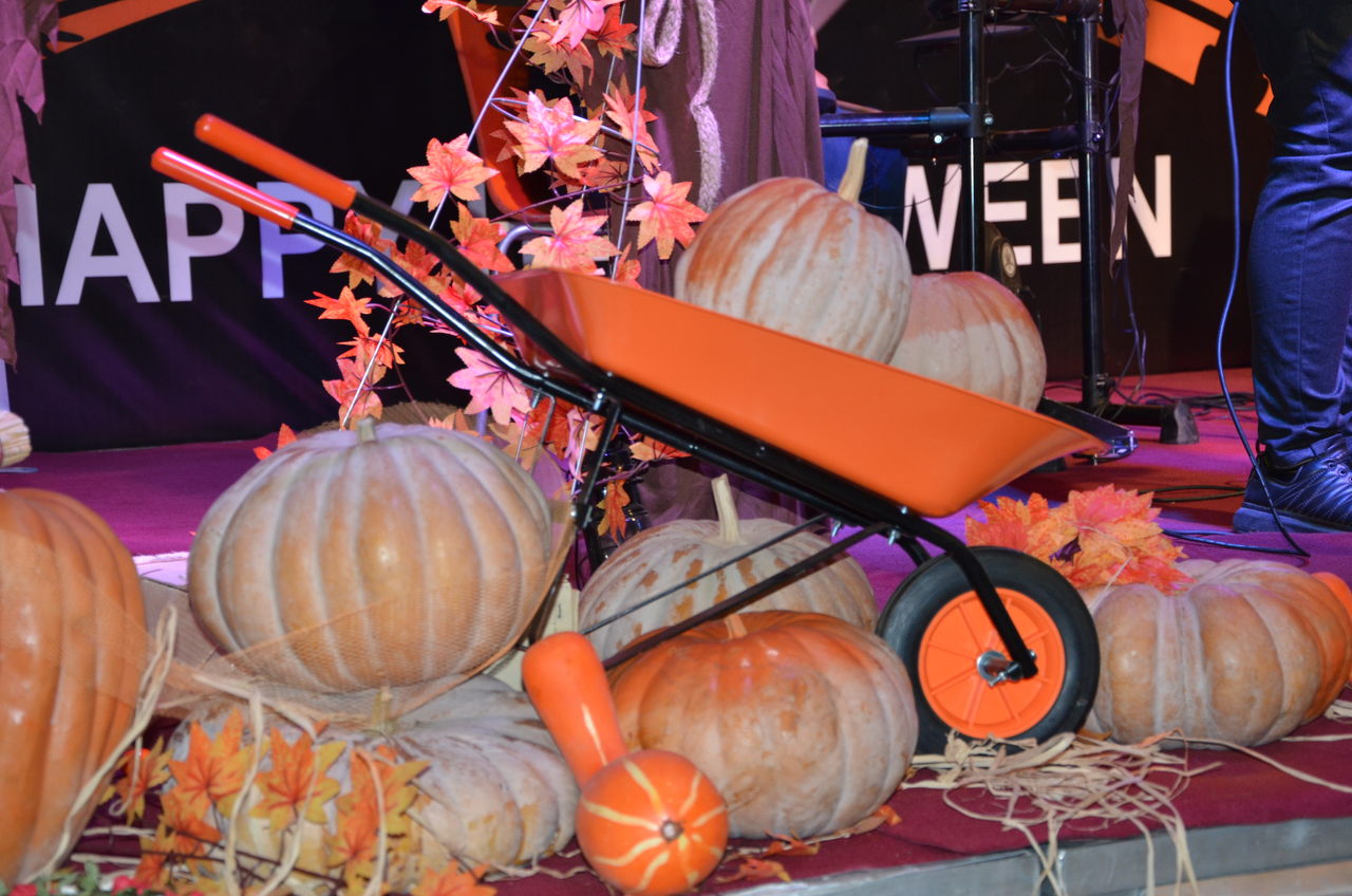 Halloween in Erbil, the capital of the Kurdistan Region, Oct. 31, 2016. (Photo: Kurdistan24)